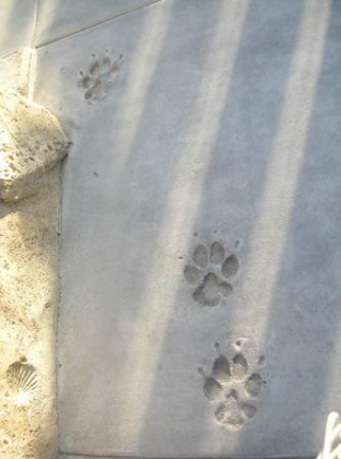 Footprints 2